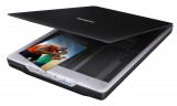 Сканер Epson Perfection V19 (планшетный, A4, 4800x4800dpi, 48bit, 3.2D, тип лампы - светодиодная, съемная крышка для сканирования книг и альбомов, вертикальное сканирование на встроенной стойке, USB)