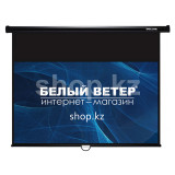 Экран механический Deluxe DLS-M229-185W, Настенный/потолочный, Рабочая поверхность 221х125 см., 16:9, Matt white, Белый