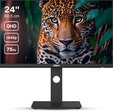 Монитор LCD 24" DAHUA DHI-LM24-P301A 2K (2560x1440, IPS, 6ms, 75Hz, 320cd/m2, 1000:1, 178°/178°, USB-С, HDMI, DP, VESA 75x75, HDMI cable) Black